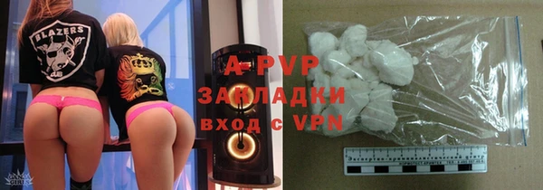 гашик Белокуриха