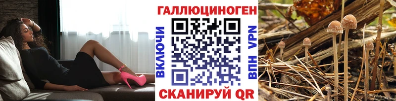Галлюциногенные грибы Magic Shrooms где купить наркоту MEGA ТОР Ульяновск